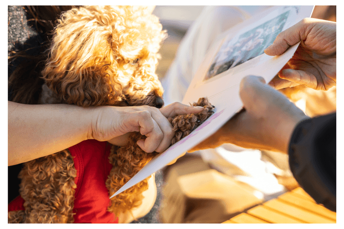 愛犬 肉球スタンプ