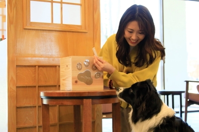 ワンちゃんおみくじ