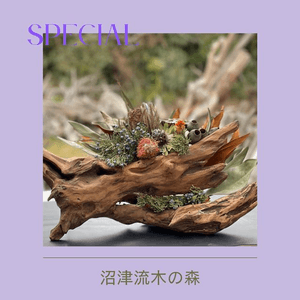 wkzUbhI5SXwL6ikiUZyX.png?w=940&h=940