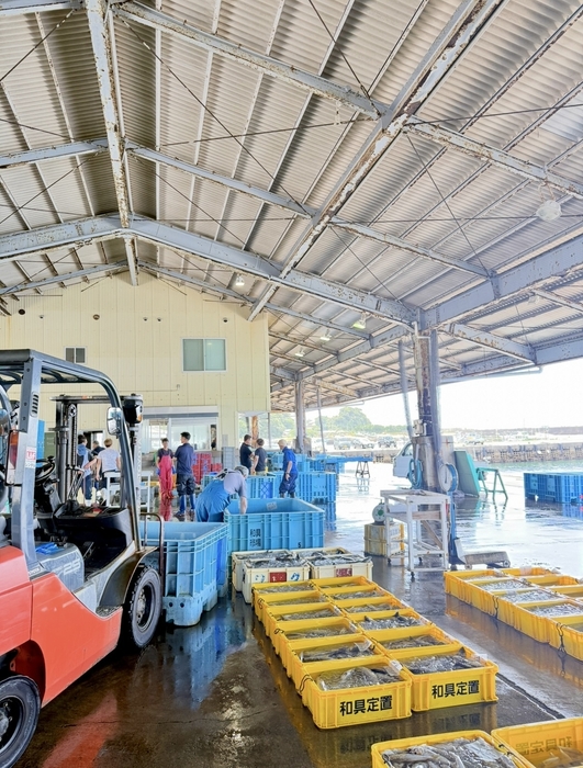 産地卸売市場(和具漁港)2