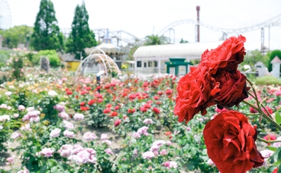 wlOm1iFMhjn202KX3n0v.jpg?w=940&h=940