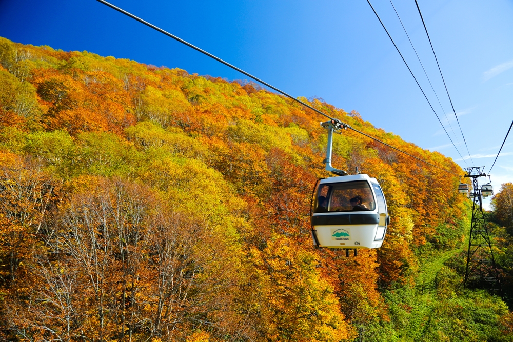 栂池パノラマウェイ(ホテルより車で10分)