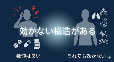 wopCroCoJ9lJsDT76x3e.png?w=940&h=940