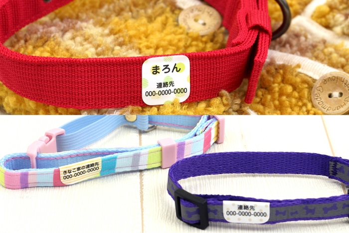 首輪にも貼れる迷子シール