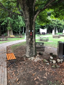 wpvzuftNainOkvCX3wn1.jpeg?w=940&h=940