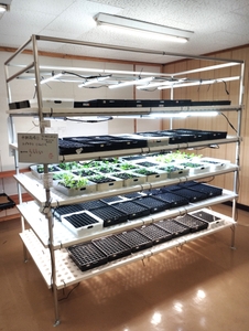 wqNCkpzJyaaDjzdHe4bU.jpg?w=940&h=940