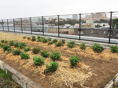 wqx46BO5JqWUi2X2U0Eq.jpg?w=940&h=940