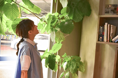 wr3kIfxcJDkCnlmgn4cb.png?w=940&h=940