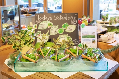 wriqc6TUyUvNKd0tXqpz.jpg?w=940&h=940