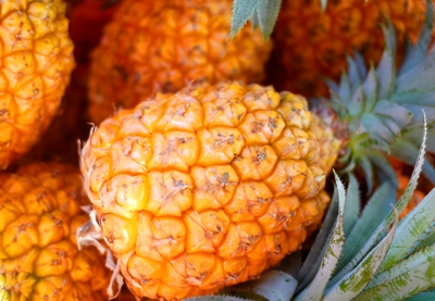 wsItuWCF1WYQ9dUQ7RTM.jpg?w=940&h=940