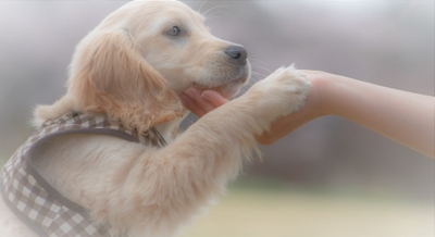 wtL5dF3I3aNBBkGFB9sL.jpeg?w=940&h=940