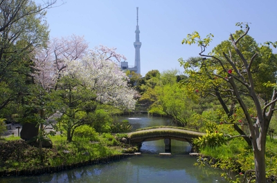 wuz3My5nJMOOdGLNv76z.jpg?w=940&h=940