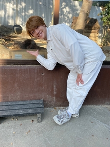 wvuKQjsmxMWsf0pAftRN.JPG?w=940&h=940