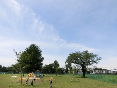 wwR5N3yxizvKo7XGn6Vj.jpg?w=940&h=940