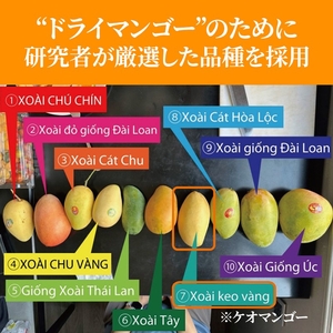 ベトナム産「ケオマンゴー」を選定
