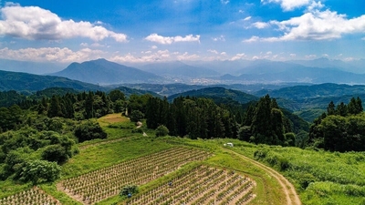 wyvsfYgf6gS1WsRQAVqr.jpg?w=940&h=940