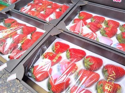 x0PUVqcLHVYs4dtLh25j.jpg?w=940&h=940