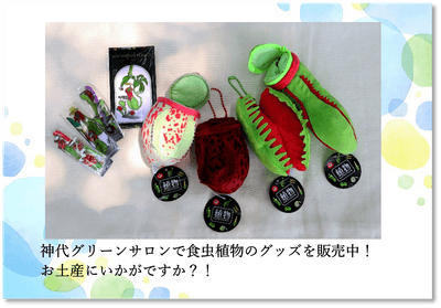 x2dfKJ6ENy0r2U9eGmg0.png?w=940&h=940