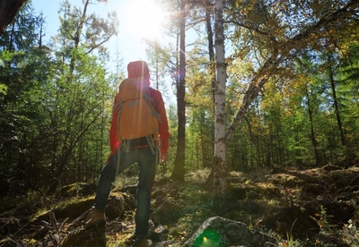 x3C8WwSIZVdI3bcGatqy.jpg?w=940&h=940