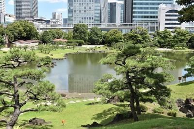 x4JzOpFhuTg3tYcuRi2g.jpg?w=940&h=940