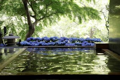 x50wRaYCrrIbD819SxQI.jpg?w=940&h=940