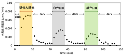 図4　層状水素化シリカンの水素放出特性（疑似太陽光、白色LED、緑色LEDを用いて照射。照射面積は0.2cm2）