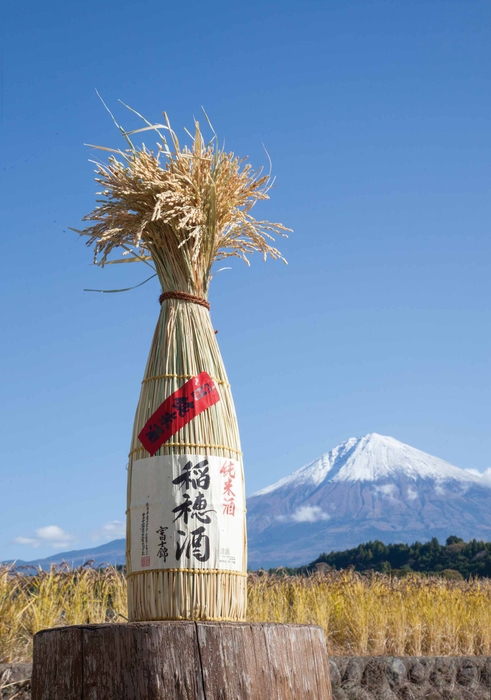 富士山と稲穂酒