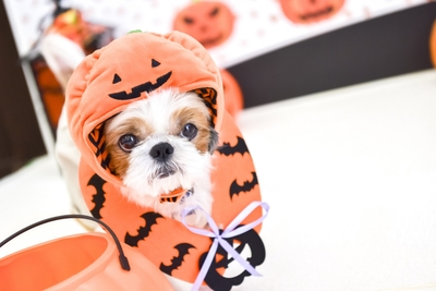 x7IfqvLaa61FsyicmOFO.jpg?w=940&h=940