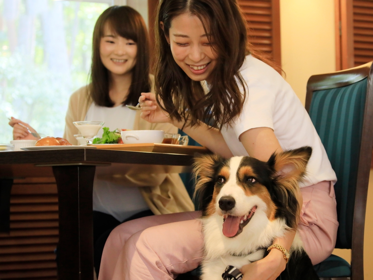 もちろんレストランもワンちゃんOK