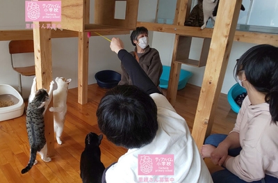 x81dyLf9p5HTKkqOoZpu.jpeg?w=940&h=940