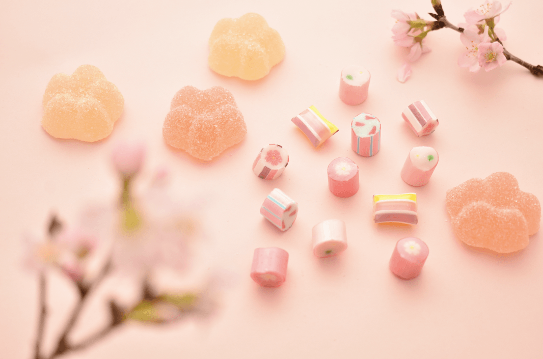 一足早く桜、咲きました