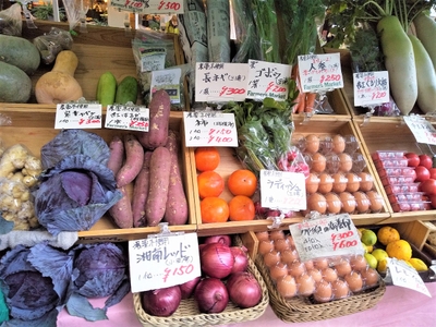 xAN4MdcHvHbLc3svway9.jpg?w=940&h=940