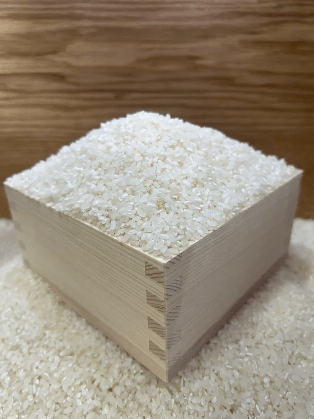 収穫の新米すくい