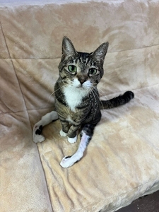 xBXTmQrX1NOEpbIype2g.jpeg?w=940&h=940