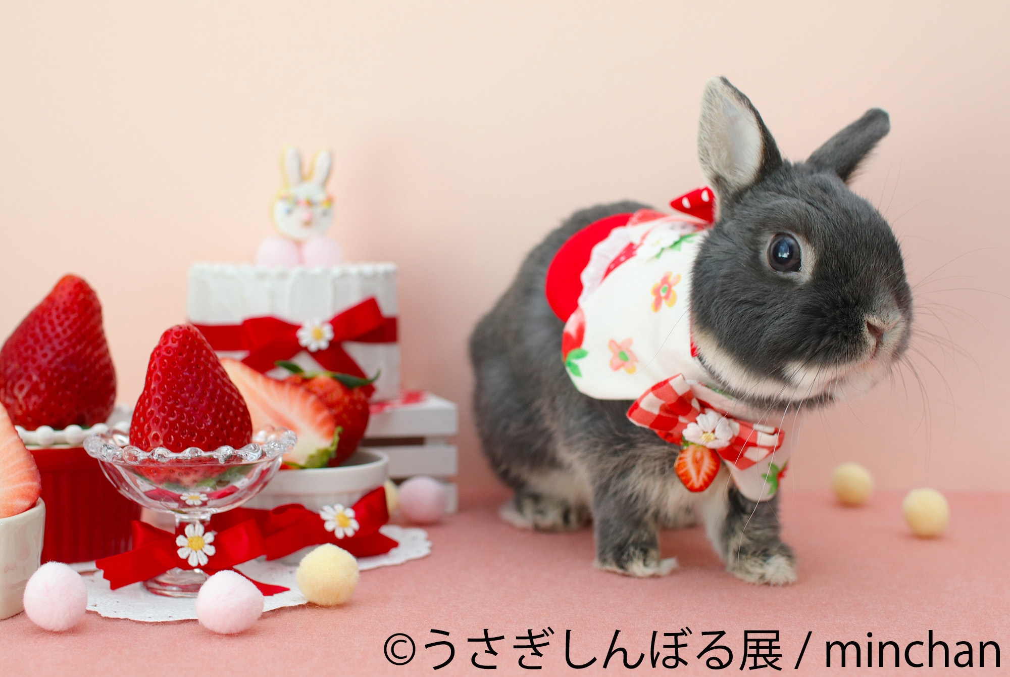 オカザキ ハルミさんの可愛いウサギ 大人気おかざき はるみ様、ウサギ