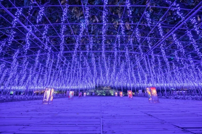 あしかがフラワーパーク２