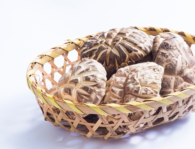 xDTwqkhBpqApXOGhUADh.jpg?w=940&h=940