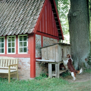 xDw895XWpxzsS14FfZnk.jpg?w=940&h=940