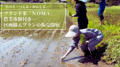 xDwunAmCU44q7Zoslwak.jpg?w=940&h=940