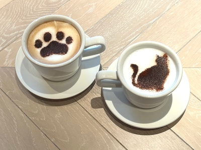 xENx1KgTwj4soULVM8fy.jpg?w=940&h=940