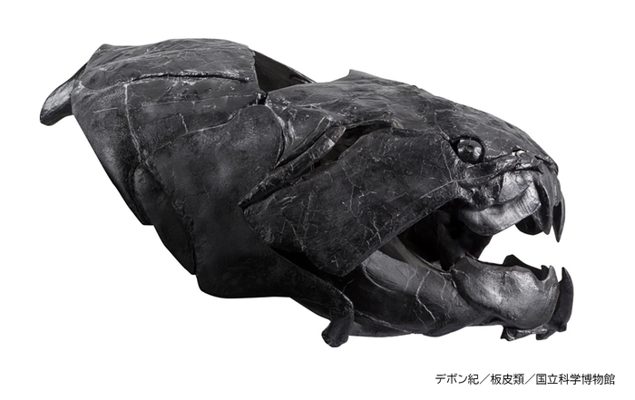 ダンクルオステウス(レプリカ)