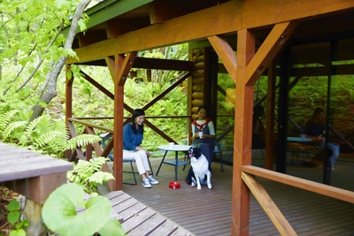 xErdAw6yoGpibgNxaU28.jpg?w=940&h=940