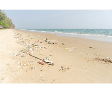 xFeQtNeqNCgEZrY2vkV2.png?w=940&h=940