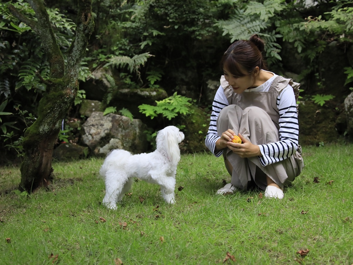 コミュニティガーデン