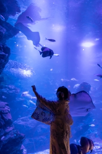 xFrYbjHGlqHm4xUuhTH8.jpg?w=940&h=940