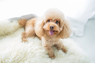 xFs6HGy6cNcZkSGqXm9H.jpeg?w=940&h=940