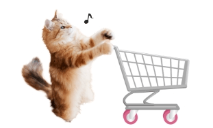 xGd0FVRBuaqBvBjaw728.png?w=940&h=940