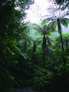 xHcYpXmE9bgCRuCeo4gk.jpg?w=940&h=940