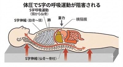 xIFwckrJPzdvR77QDnWy.png?w=940&h=940