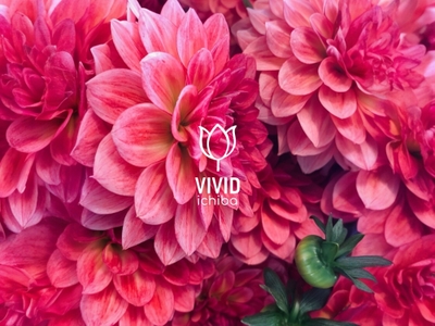 xIVAOIzs5x4aDDAYQpT9.jpeg?w=940&h=940